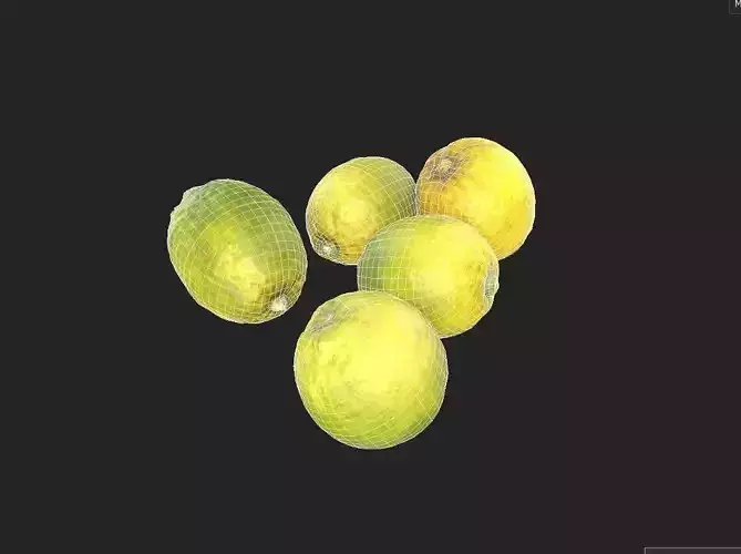 Lemon Set 01 Low-poly 3D model 7
