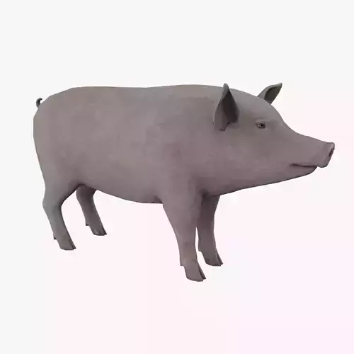 Pig low-poly