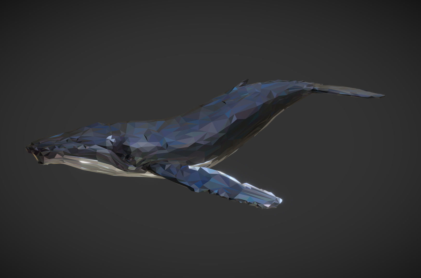 Whale Low Polygon Art Animal Low-poly 3D model_2