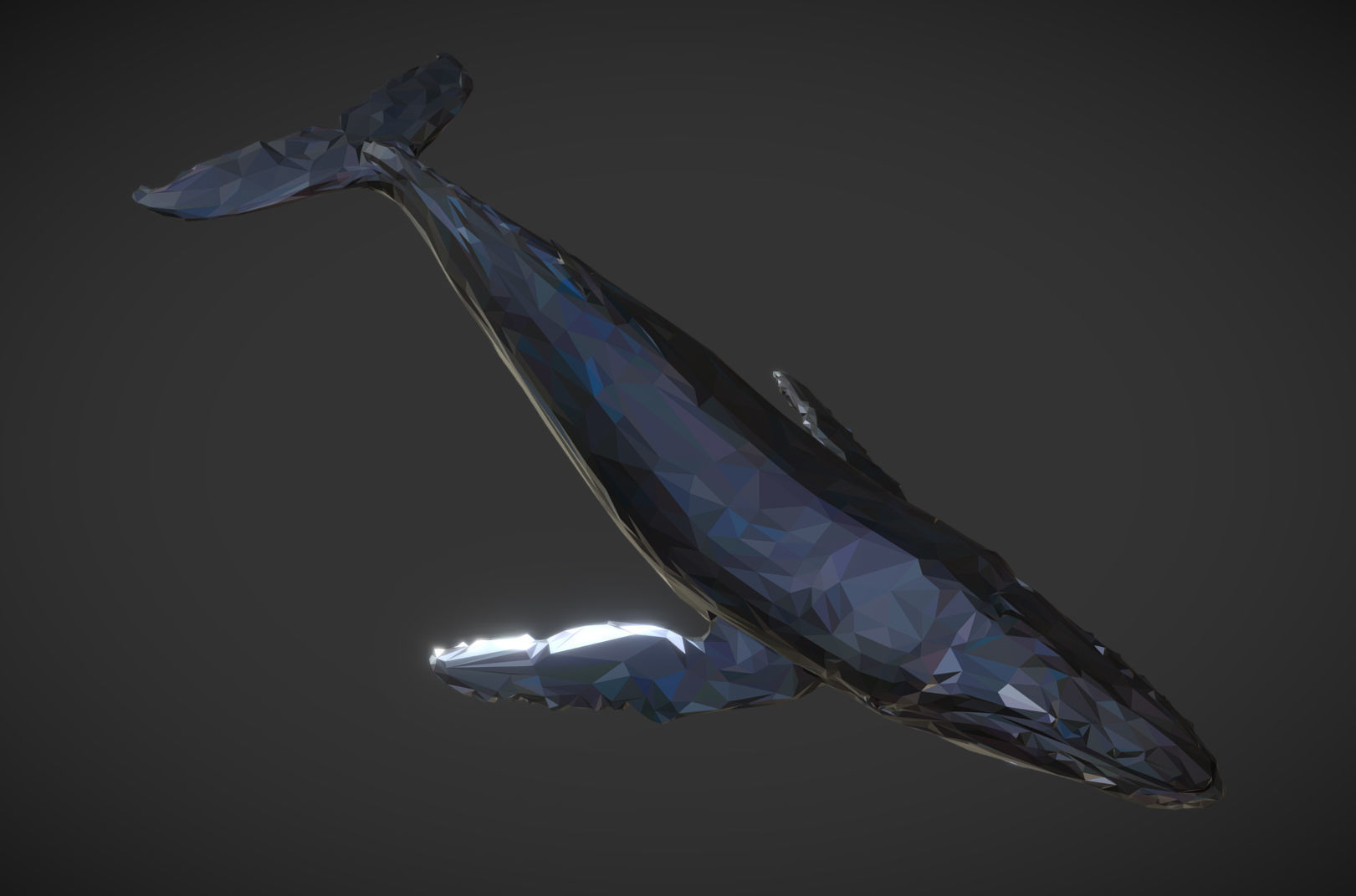 Whale Low Polygon Art Animal Low-poly 3D model_3