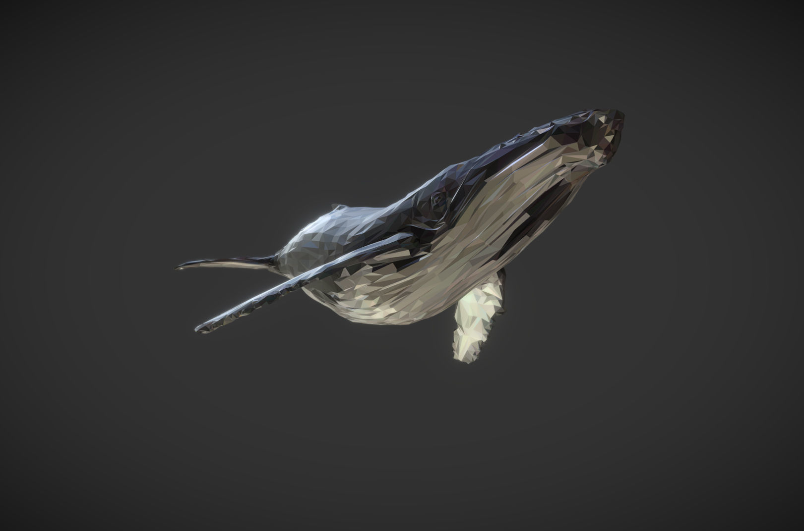 Whale Low Polygon Art Animal Low-poly 3D model_1