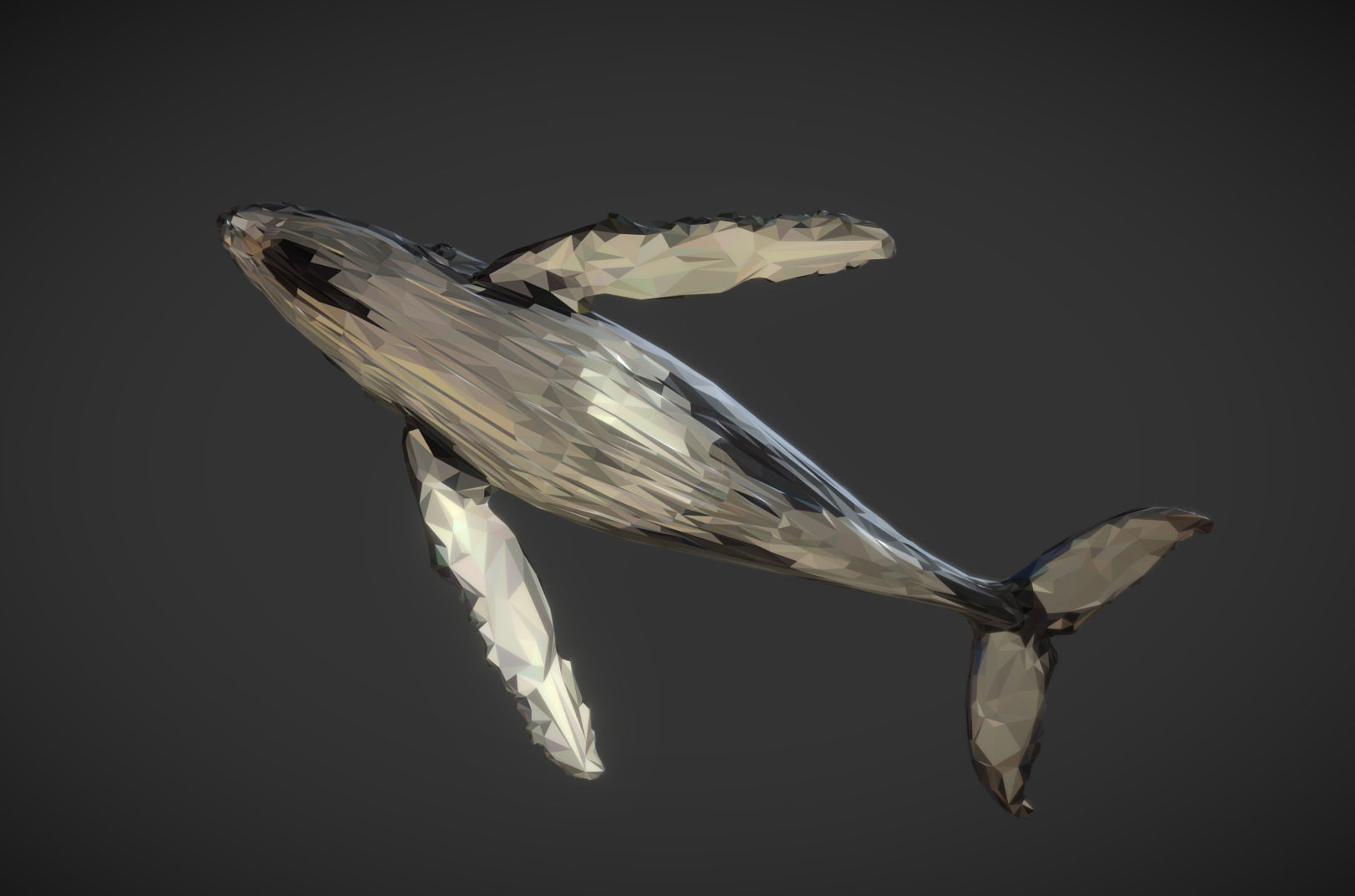 Whale Low Polygon Art Animal Low-poly 3D model_4