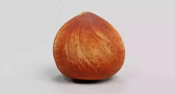 Hazelnut - Natural Shelled Nut 3D model
