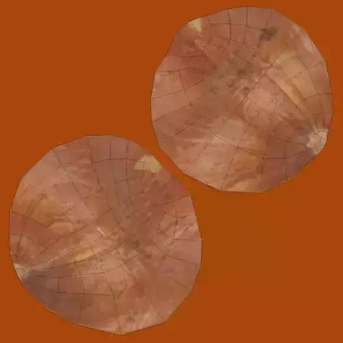 Hazelnut - Natural Shelled Nut 3D model 7