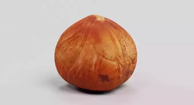 Hazelnut - Natural Shelled Nut 3D model 3