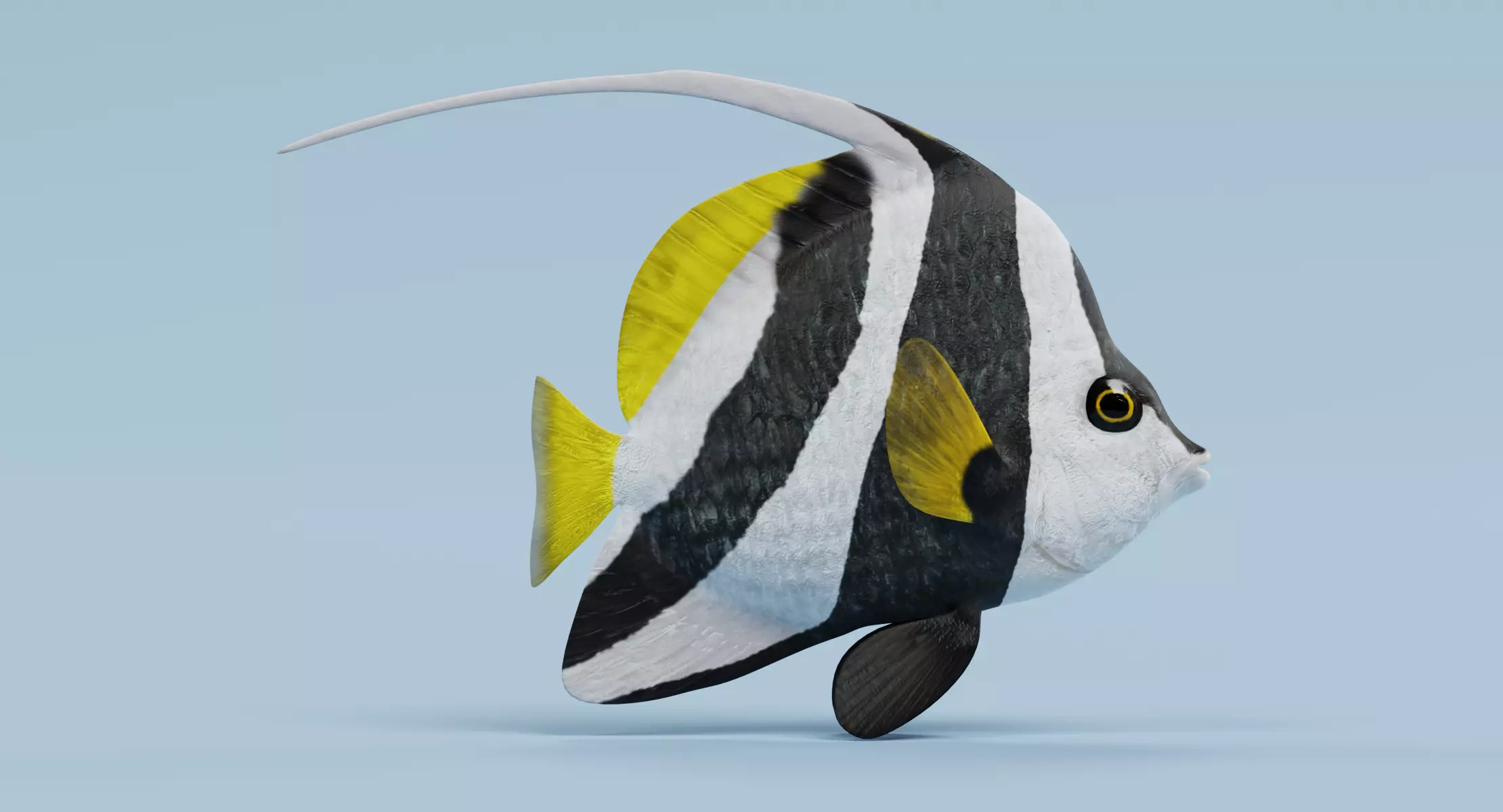 Tropical Fish - Longfin Bannerfish 3D model