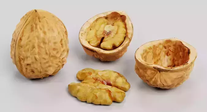 Nuts - 10 Assorted Food Props 3D model 6