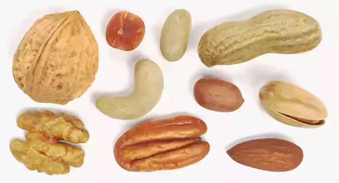 Nuts - 10 Assorted Food Props 3D model 2