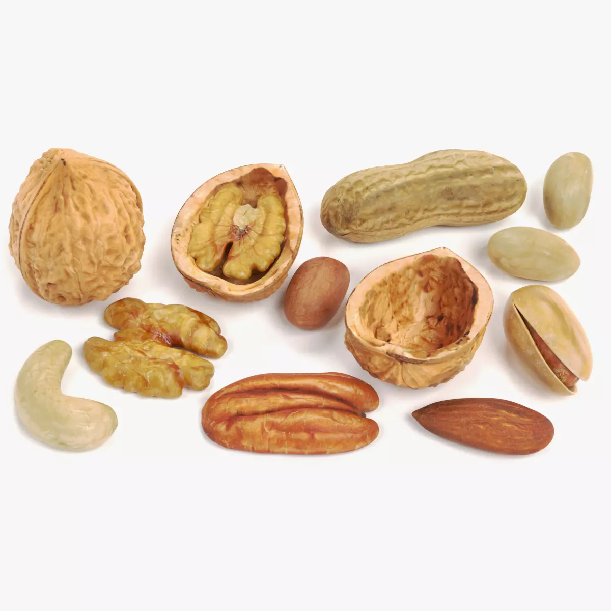 Nuts Collection - 12 Assorted Food Props 3D model