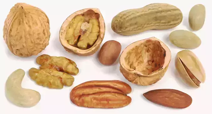 Nuts Collection - 12 Assorted Food Props 3D model 2