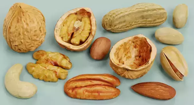 Nuts Collection - 12 Assorted Food Props 3D model 6