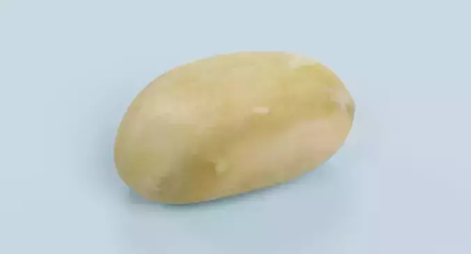 Peanut - Shelled Natural Kernel 3D model 4