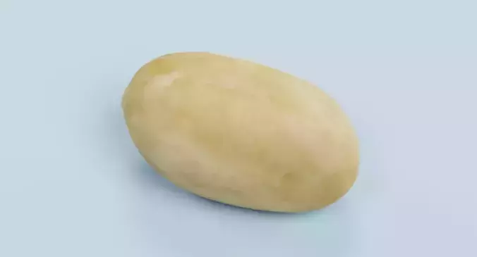 Peanut - Shelled Natural Kernel 3D model