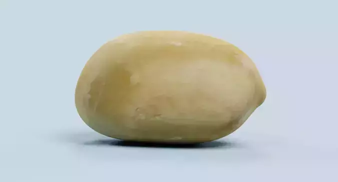 Peanut - Shelled Natural Kernel 3D model 5
