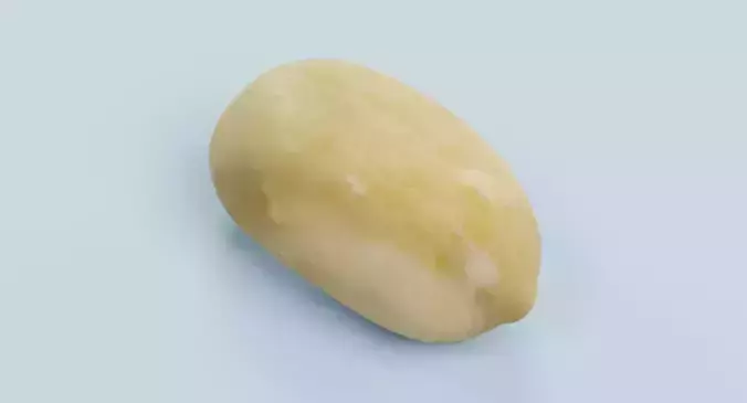 Peanut - Shelled Natural Kernel 3D model 3
