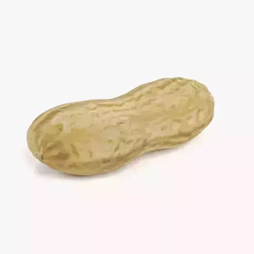 Peanut Husk - Realistic Nut Shell 3D model