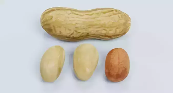 Peanuts - Shelled Nuts and Husk Set 3D model