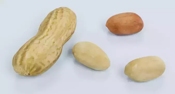 Peanuts - Shelled Nuts and Husk Set 3D model 2