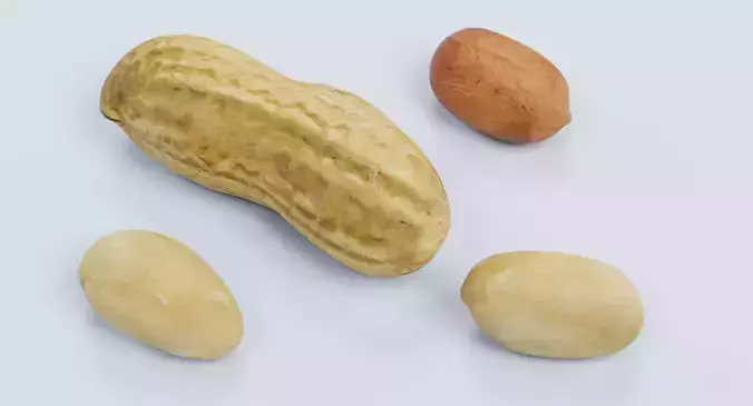 Peanuts - Shelled Nuts and Husk Set 3D model 3