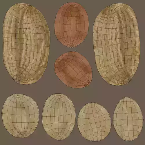 Peanuts in Bowl - Raw Kernel Food Display 3D model 7