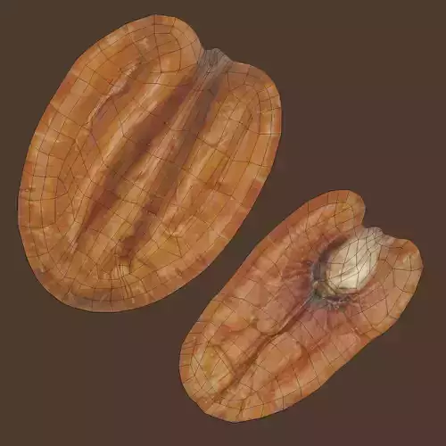 Pecan Nut - Natural Shelled Kernel 3D model 7