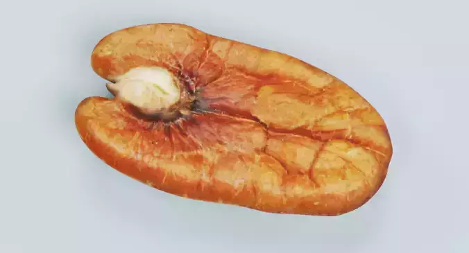 Pecan Nut - Natural Shelled Kernel 3D model 2