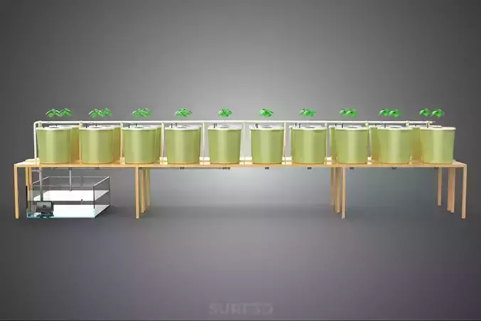 DUTCH BUCKET PLANT VEGETABLE FRUIT HYDROPONIC FARM CULTIVATION 3D model 7