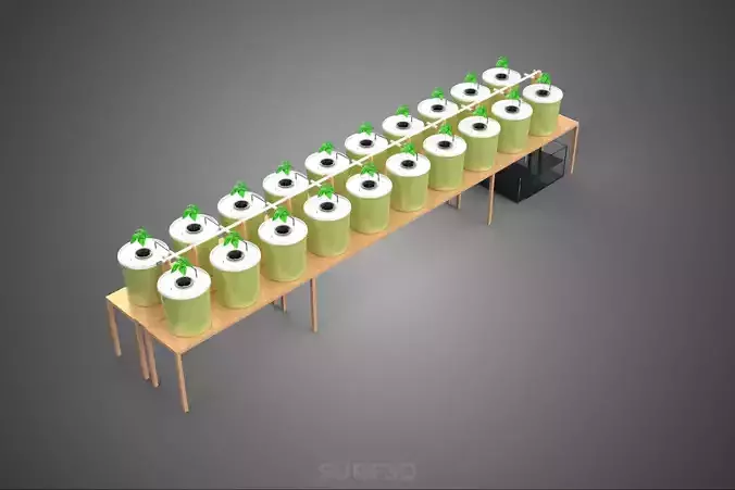 DUTCH BUCKET PLANT VEGETABLE FRUIT HYDROPONIC FARM CULTIVATION 3D model 4