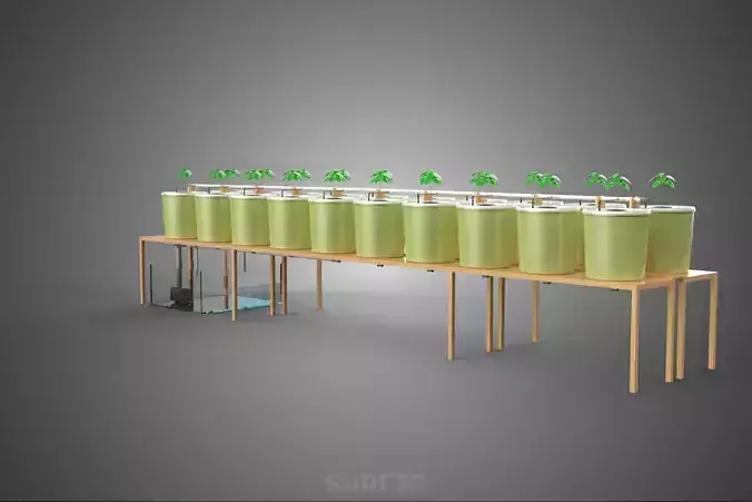 DUTCH BUCKET PLANT VEGETABLE FRUIT HYDROPONIC FARM CULTIVATION 3D model 6