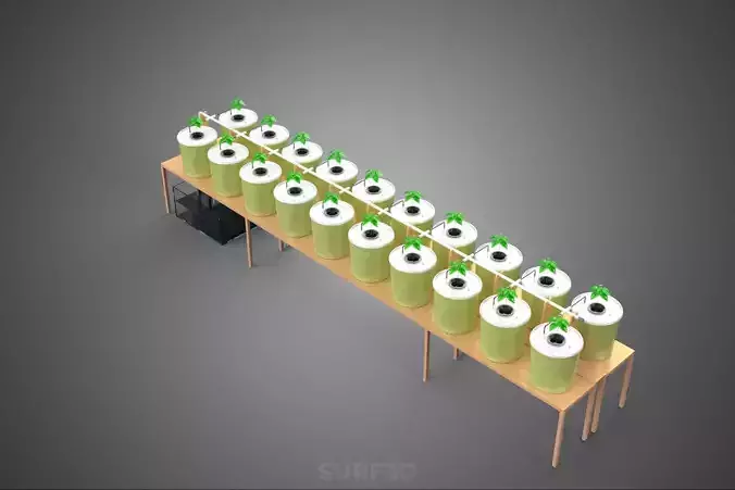 DUTCH BUCKET PLANT VEGETABLE FRUIT HYDROPONIC FARM CULTIVATION 3D model 2