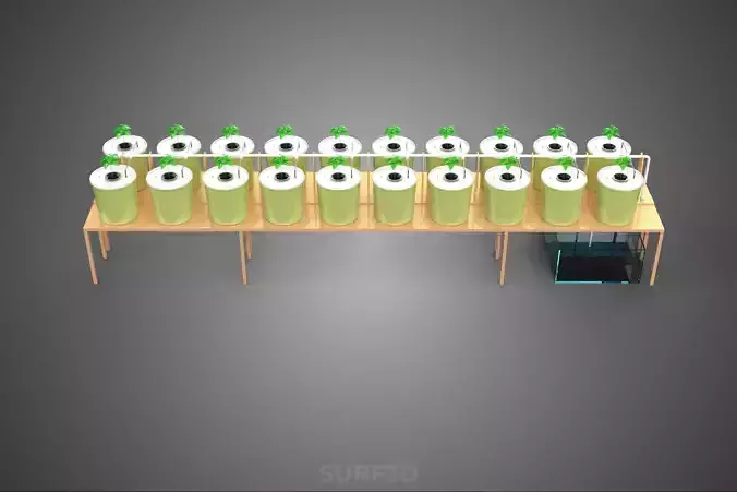 DUTCH BUCKET PLANT VEGETABLE FRUIT HYDROPONIC FARM CULTIVATION 3D model 5