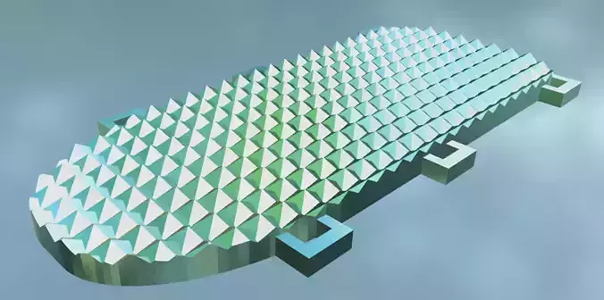 snowshoe with extra grip