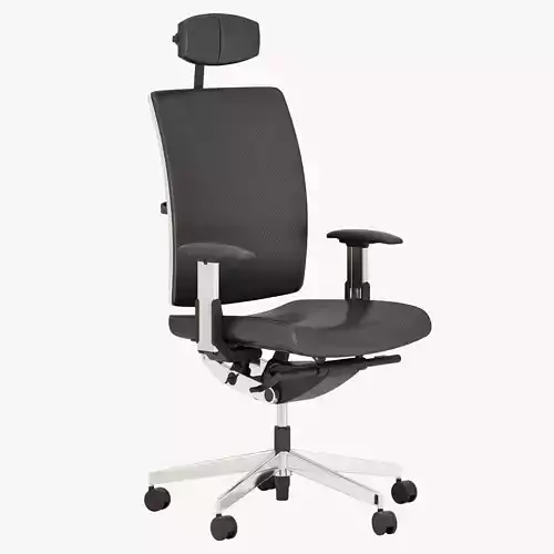 Dauphin high way executive 3D model