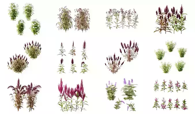 Excellent collection of Outdoor plants 48 Different Models 0058