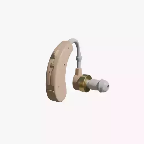 Hearing aid