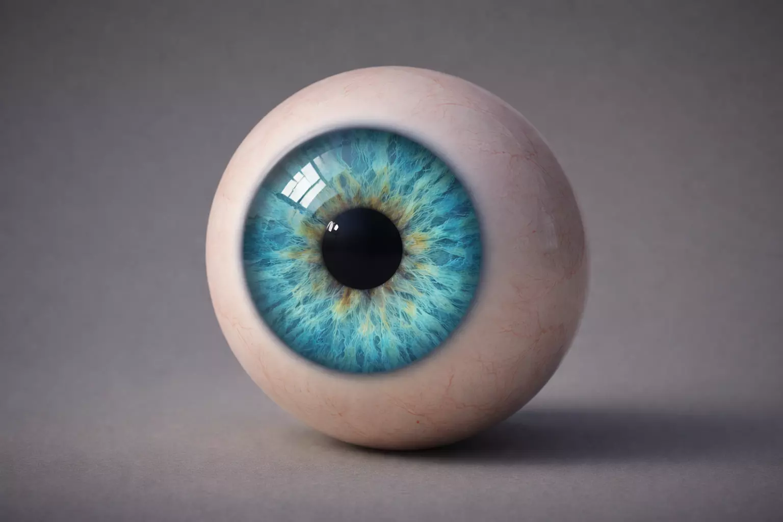 Human Eye ultra realistic 3D model