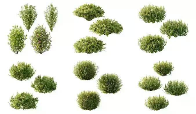 Excellent collection of  Bush plants 20 Different Models 0059