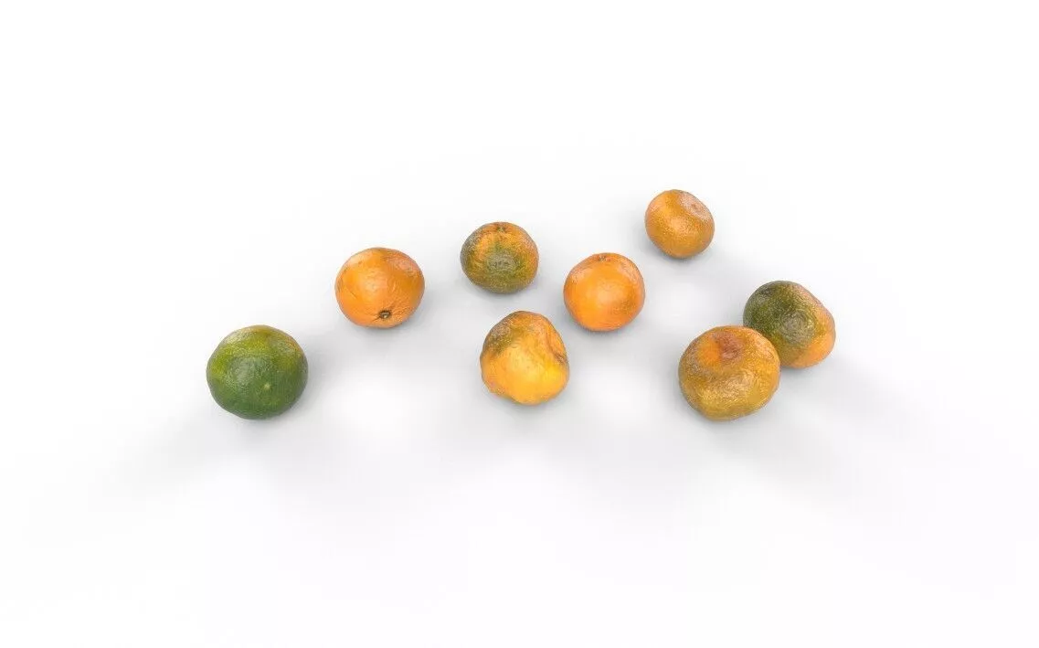 Tangerine Set 09 Low-poly 3D model