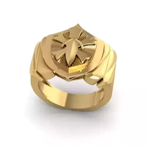 3D Gold  Ring File CAD Design Engagement Ring Model 3dm Format14 3D print model