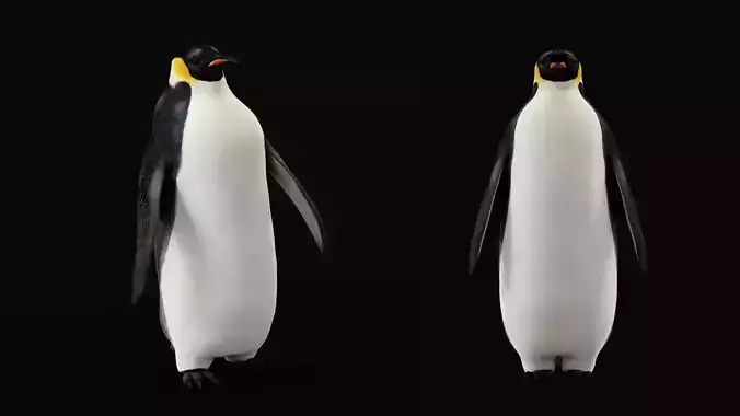 Emperor Penguin 