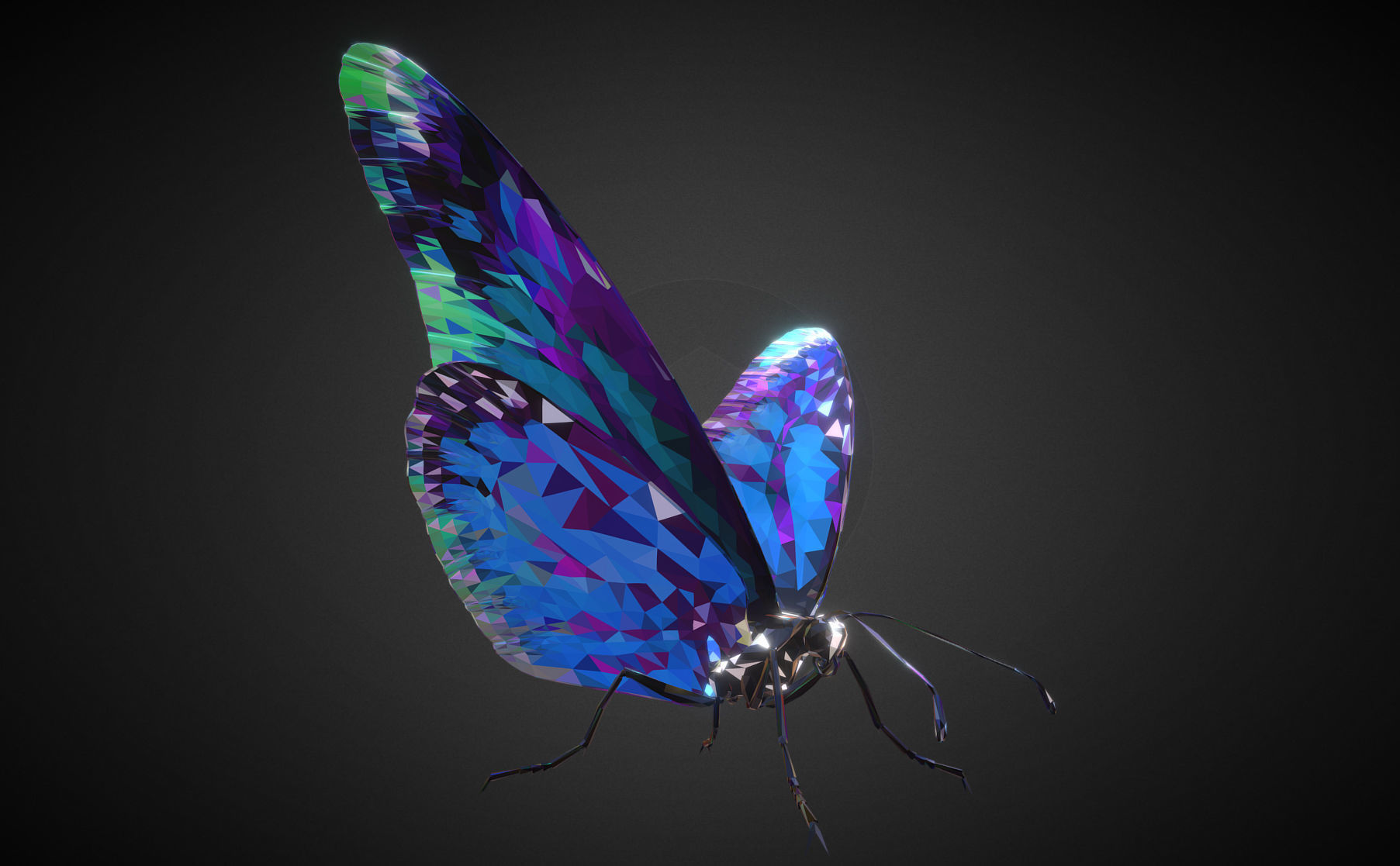 Batterfly Blue Low Polygon Art Insect Low-poly 3D model_3