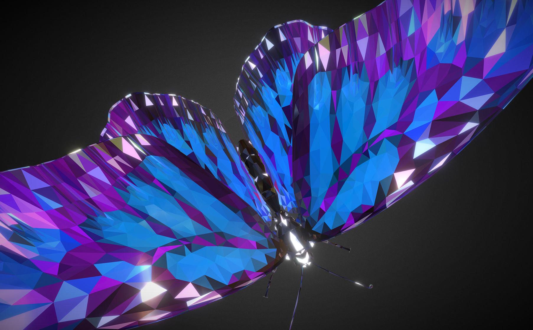 Batterfly Blue Low Polygon Art Insect Low-poly 3D model_4
