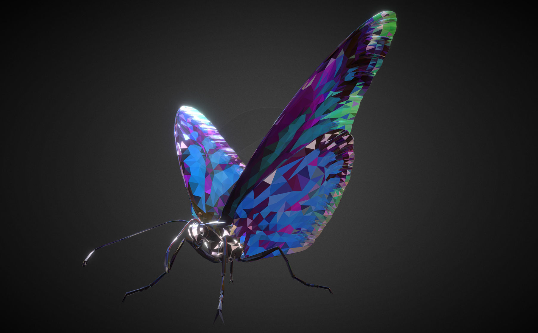 Batterfly Blue Low Polygon Art Insect Low-poly 3D model_1