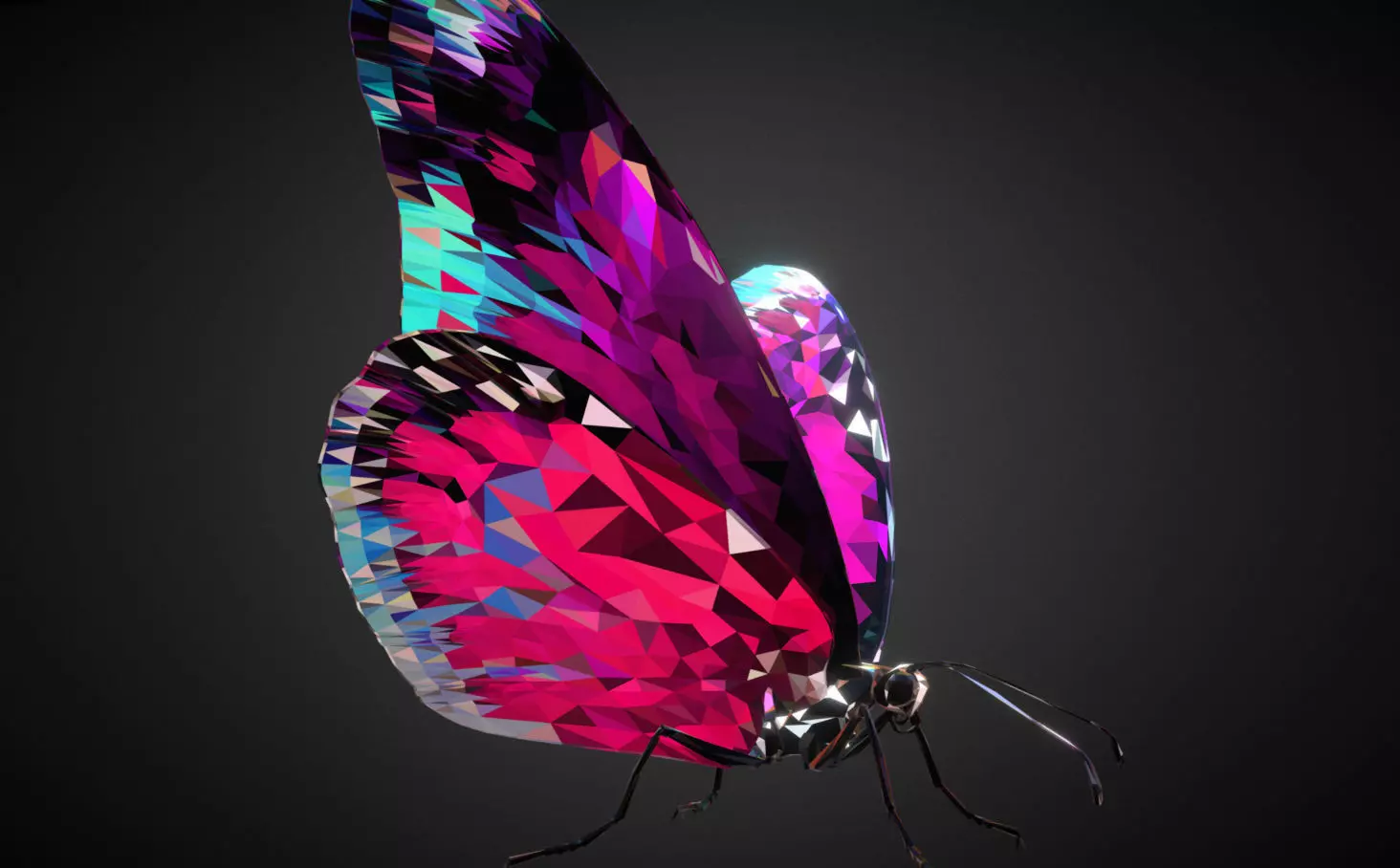 Batterfly Pink Low Polygon Art Insect Low-poly 3D model_0