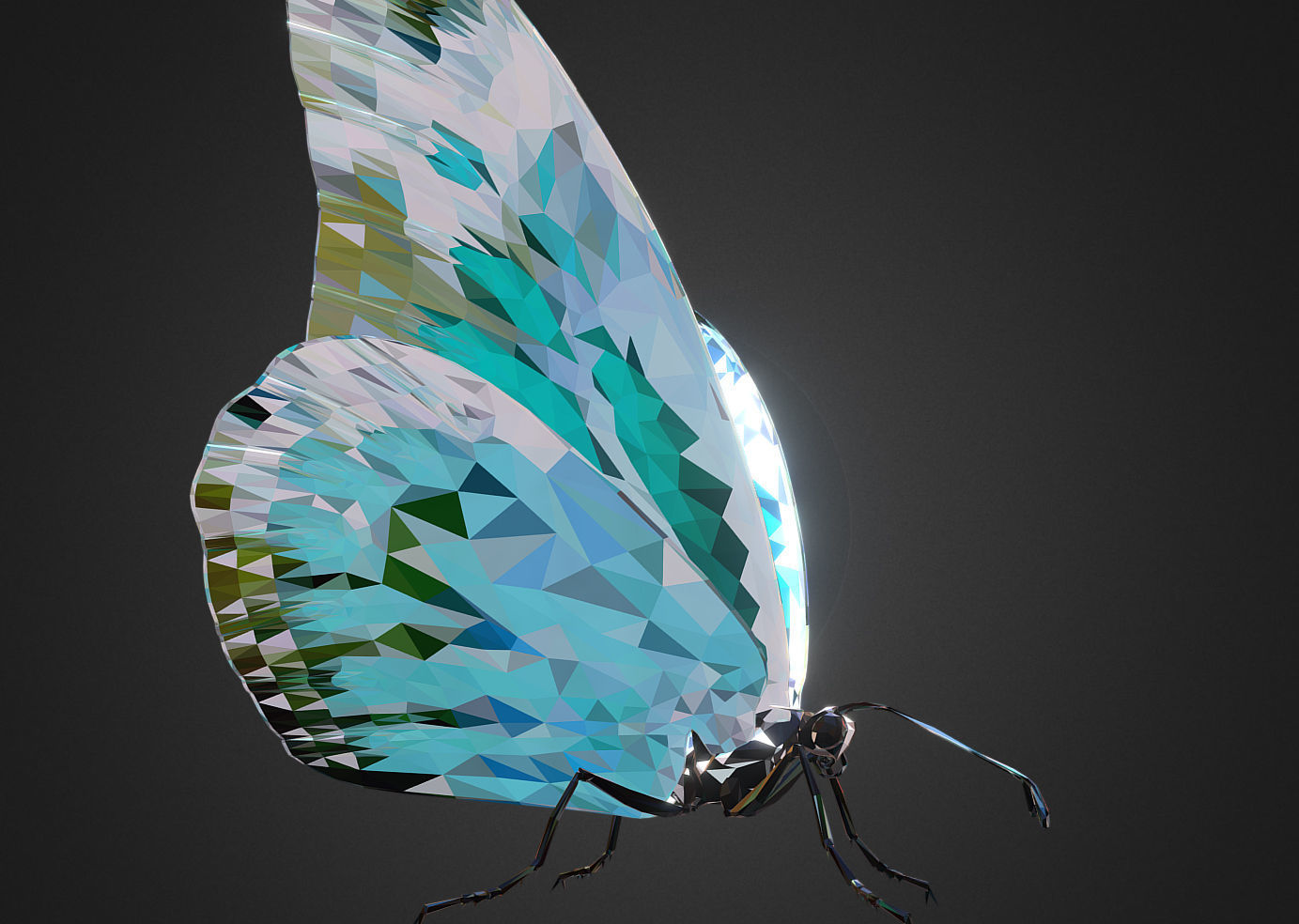 Batterfly Teal Low Polygon Art Insect Low-poly 3D model_2