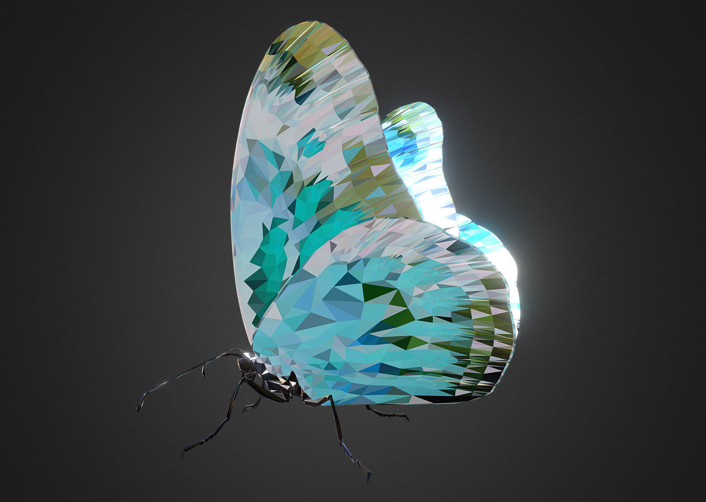 Batterfly Teal Low Polygon Art Insect Low-poly 3D model_4