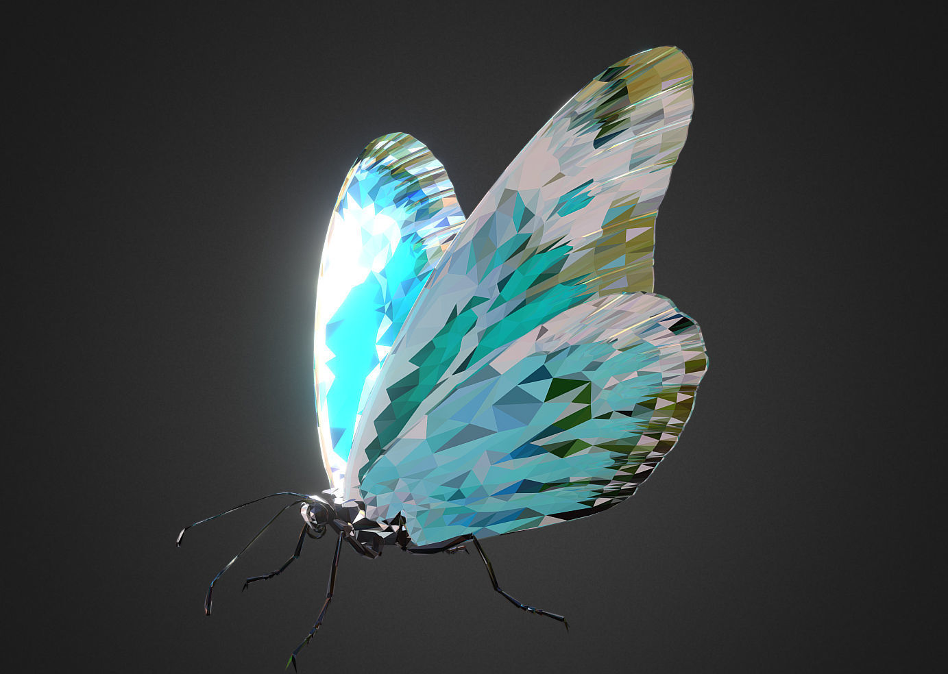 Batterfly Teal Low Polygon Art Insect Low-poly 3D model_5