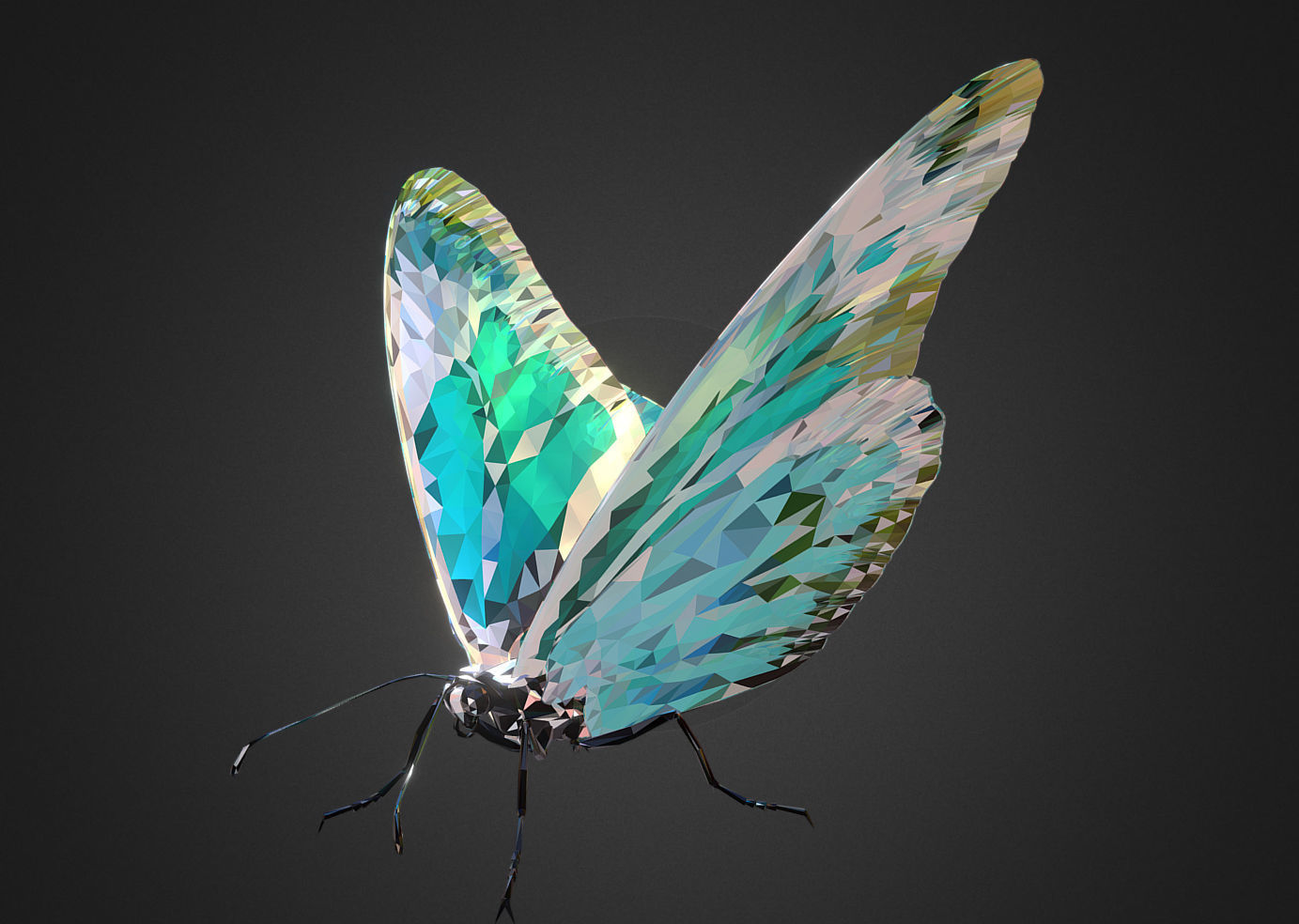 Batterfly Teal Low Polygon Art Insect Low-poly 3D model_3