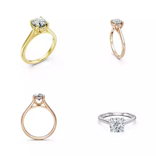 Luxury Halo Solitaire Ring CAD Design Editable 3DM File 3D print model