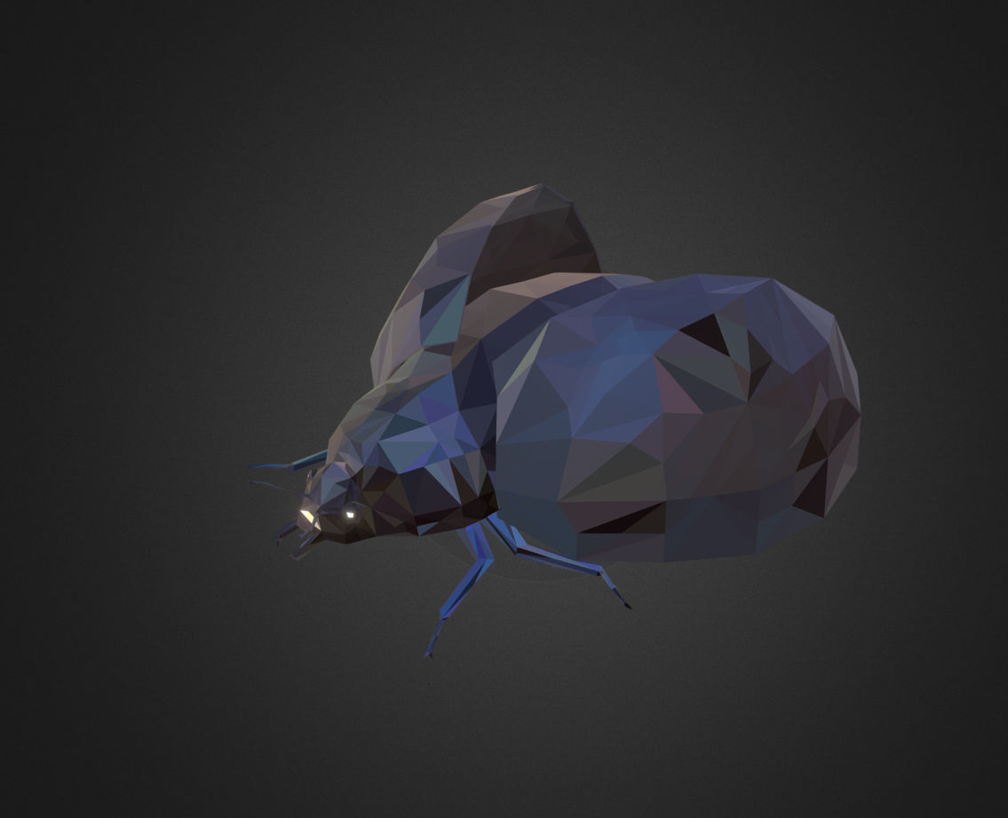 Bug Ladybug Black Low Polygon Art Insect Low-poly 3D model_2